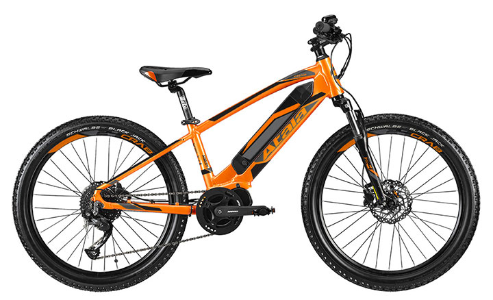 Atala-crab-bike-for-kid-big